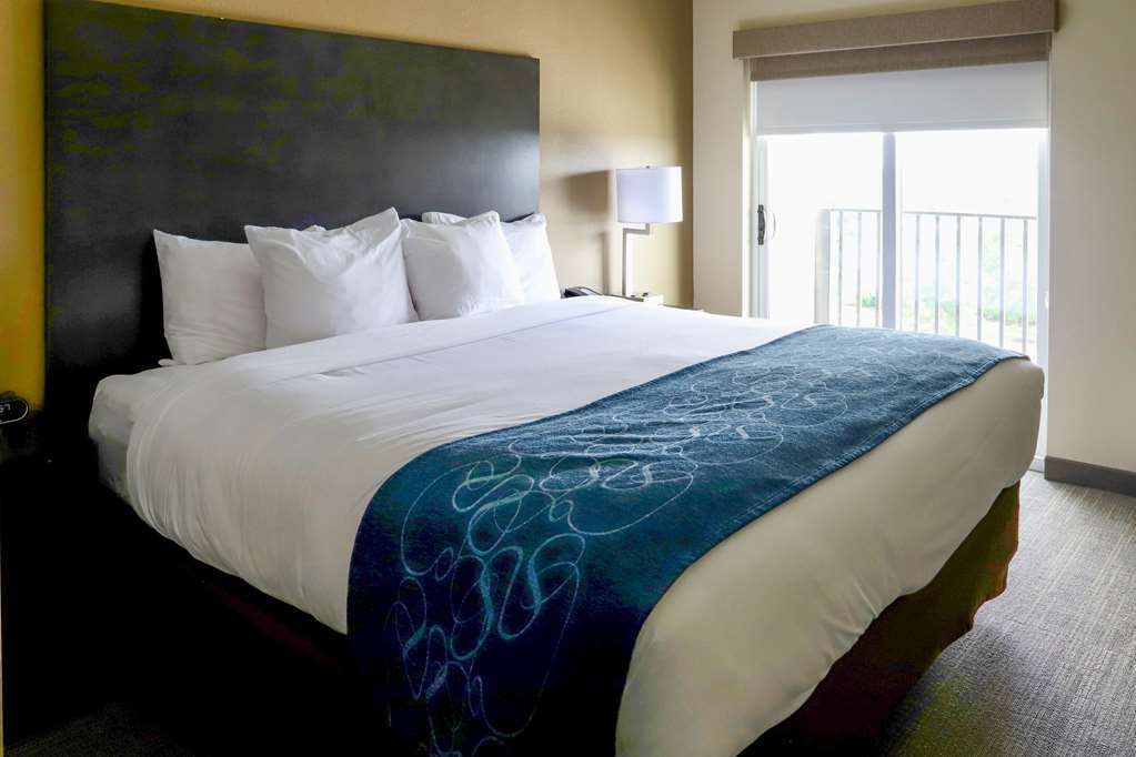 Comfort Suites Marysville Columbus - Northwest Rum bild