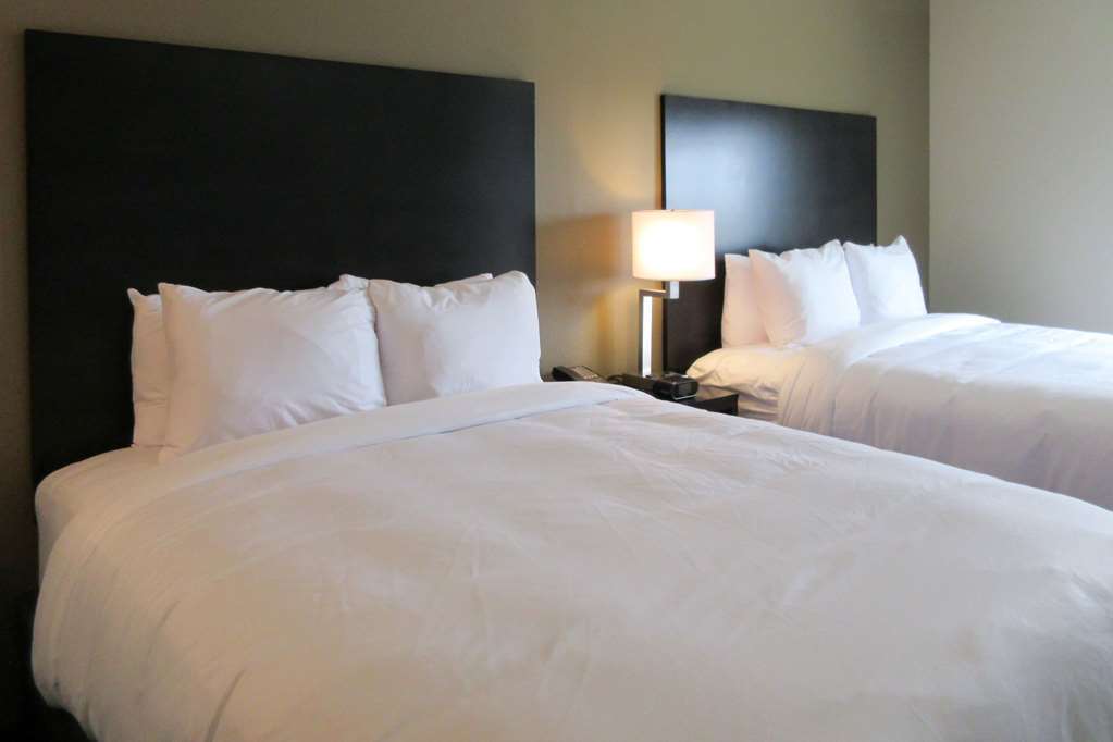 Comfort Suites Marysville Columbus - Northwest Rum bild